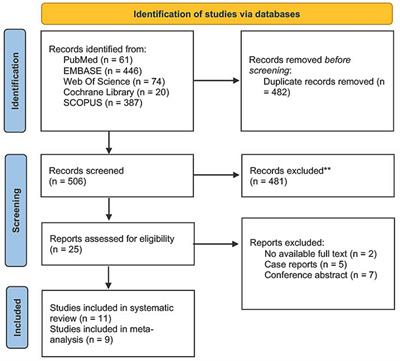 Intravenous cangrelor use for neuroendovascular procedures: a two-center experience and updated systematic review